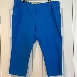 Cold water Creek Size 18 capris/pants